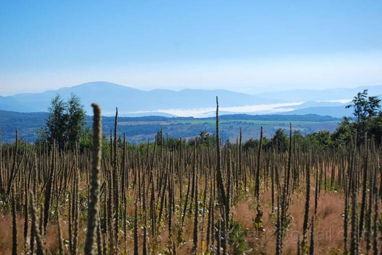 image002.jpg - Mount Cemernik