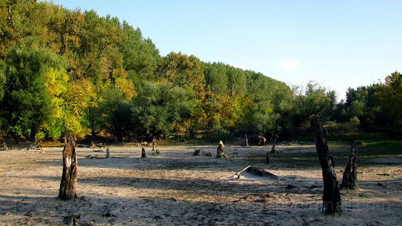 image022.jpg - The river bank near Pancevo