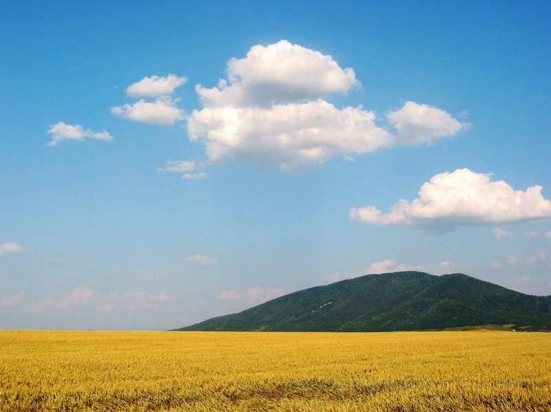 image094.jpg - Yellow fields near Vrsac, Vojvodina
