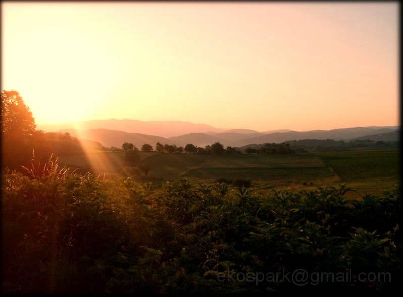 image106.jpg - Good Morning Serbia