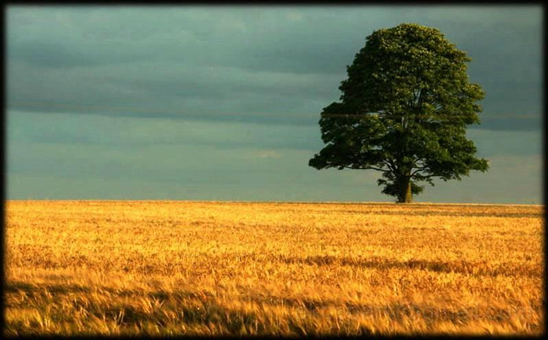 image108.jpg - Vojvodina