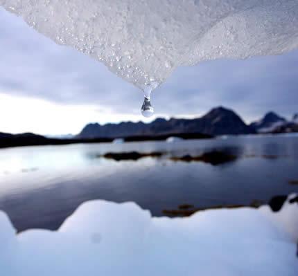 6.JPG - Do 2050 godine : smanjenje većih glečera od 30 do 70 procenata, kao i dovodjenje skoro jedne četvrtine biljnih i životinjskih vrsta ( kičmenjaka ) na ivicu istrebljenja.