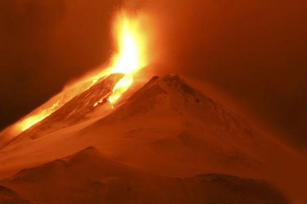 Liama2.jpg.JPG - Laima 2
